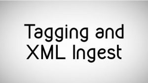 Tagging and XML ingest